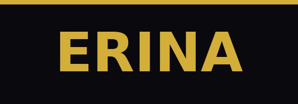 ERINA logo